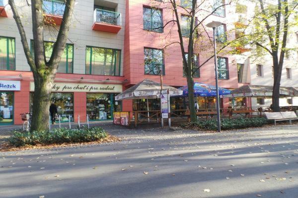 Apartment Archa Poděbrady Dış mekan fotoğraf